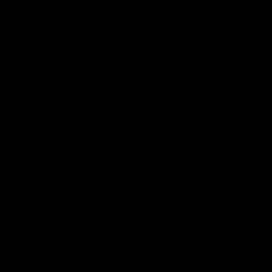 Meet your Posher, Dan